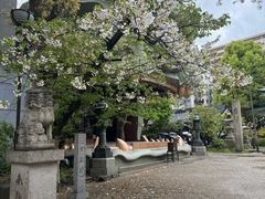 -难波八坂神社