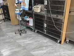 -德元·美联众合24小时动物医院(总院)