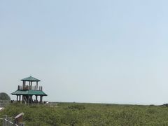 -北海金海湾红树林生态旅游区