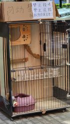 -东宫造型Eastern palace