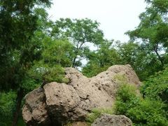 -阳台山自然风景区