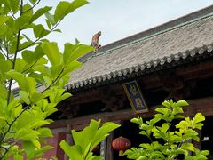 -飞云楼