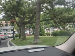 -棒棰岛宾馆景区