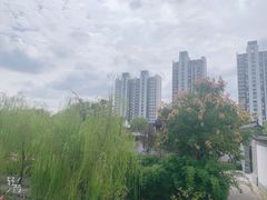 -吴越荣记苏州菜·松鼠桂鱼100%活鱼现做(斜塘老街店)