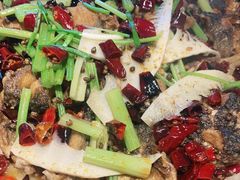 -老板恋上鱼(恒隆广场店)