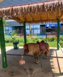 -萌宠亲子动物乐园(槐房万达店)