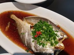 -驻海渔市(置信店)