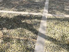 -明故宫遗址公园