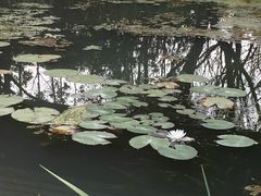 -昆山城市生态森林公园