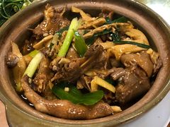 特色闷鹅煲-幽优农庄·森波拉特色本地农家菜