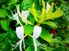 -上海崧泽遗址博物馆