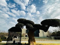 -阿纳迪酒店·秘境西餐厅