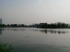 android_upload_pic-西安世博园