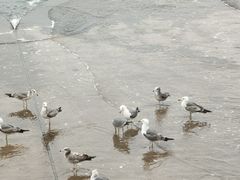 -星海广场