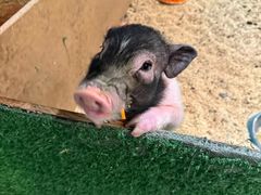 -北京华联合肥长江西路购物中心