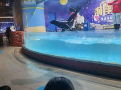 -重庆欢乐海底世界