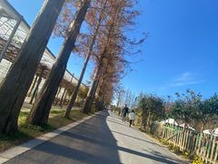 -前小桔亲子创意农场·草莓采摘·露营烧烤