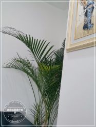 -北京炫美医疗美容