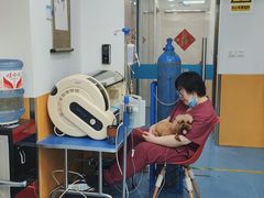 -美联众合动物医院(·中兽医·疑难杂症·严家桥分院)