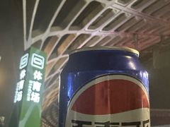 -华润深圳湾体育中心-“春茧” 体育馆