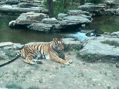 -北京野生动物园