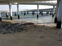 -演武大桥观景平台