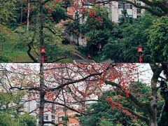 -广州中山纪念堂