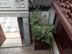 -檀园