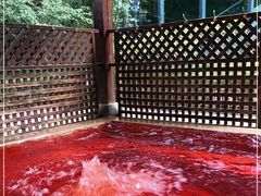 -春晖园度假酒店温泉