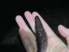 -三亚西岛海洋文化旅游区