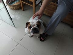 -畜牧兽医站(共江路店)