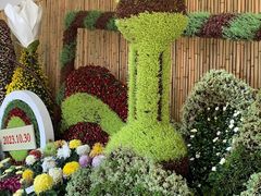-杭州植物园