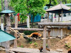 -大连森林动物园