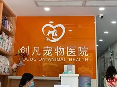 -创凡宠物医院·骨专科  猫科中心(西乡分院)