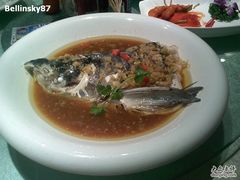 千岛湖鱼头-128米-打酱友•斑鱼海鲜粥火锅(吴桥店)