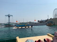 -秦皇岛乐岛海洋王国