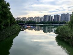 -南翔镇银翔湖公园