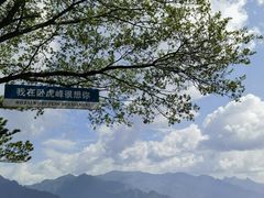 -西安祥峪森林公园