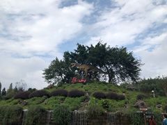 -自贡恐龙博物馆