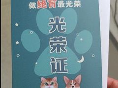 -睿金宠物医院·CT·肿瘤·骨外科