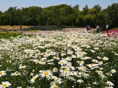 -同里国家湿地公园