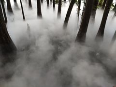-东湖落雁景区
