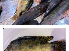 -老刘生态大鱼坊铁锅炖鱼(赛马场店)