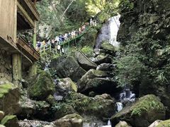 -宁波浙东大竹海景区