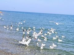 -青海湖二郎剑景区