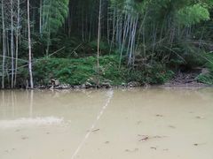 -磐安十八涡风景区
