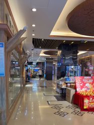 -卡通尼·Safari非洲探索乐园·生日会(金桥国际商业广场店)