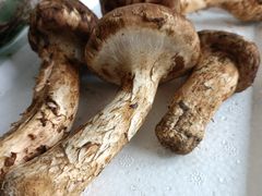 -庆岭迎宾园正宗活鱼馆