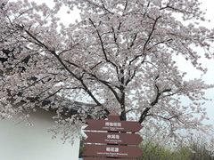 -苏州上方山国家森林公园