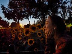 -长白岛森林公园